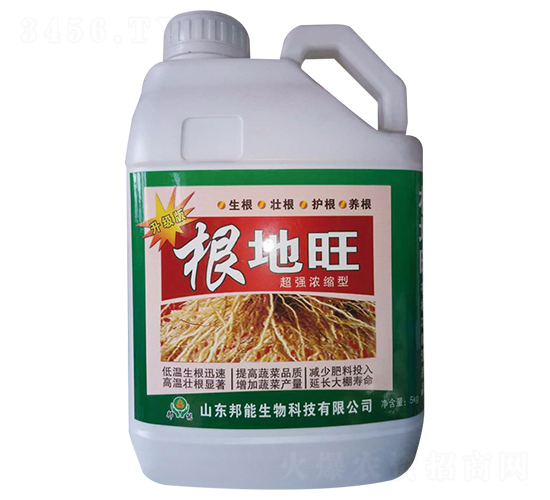 ������-������-����ţ