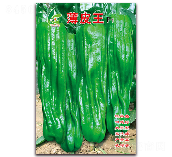 ��Ƥ��-��Ƥ�ݽ��N��-�t�l(f��)�N�I(y��)