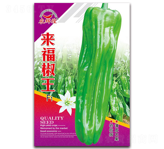 ��������-��Ƥ�ݽ��N��-�t�l(f��)�N�I(y��)