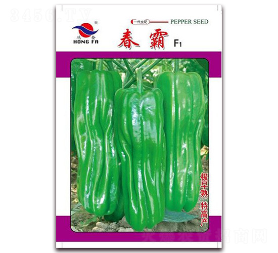 ����-��Ƥ�ݽ��N��-�t�l(f��)�N�I(y��)