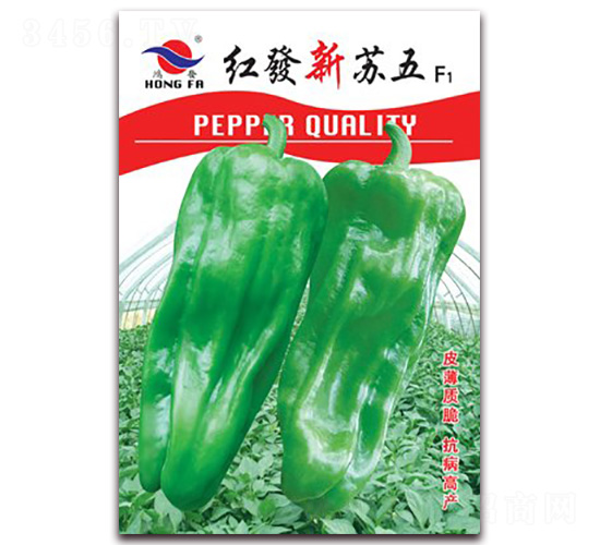 �t�l(f��)���K��-��Ƥ�ݽ��N��-�t�l(f��)�N�I(y��)