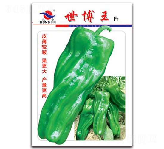 ������-��Ƥ�ݽ��N��-�t�l(f��)�N�I(y��)