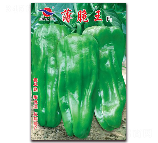 ������-��Ƥ�ݽ��N��-�t�l(f��)�N�I(y��)