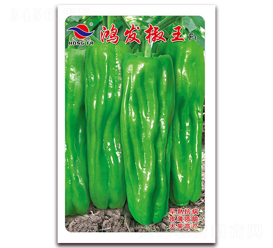 ���l(f��)����-��Ƥ�ݽ��N��-�t�l(f��)�N�I(y��)