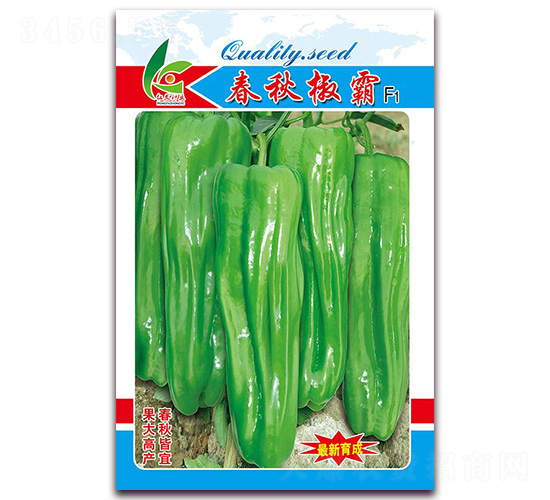 ���ｷ��-��Ƥ�ݽ��N��-�t�l(f��)�N�I(y��)