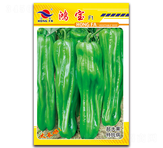 ����-��Ƥ�ݽ��N��-�t�l(f��)�N�I(y��)