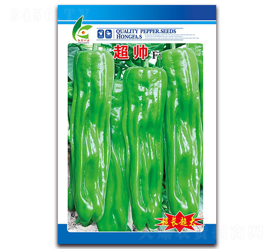 ����-��Ƥ�ݽ��N��-�t�l(f��)�N�I(y��)