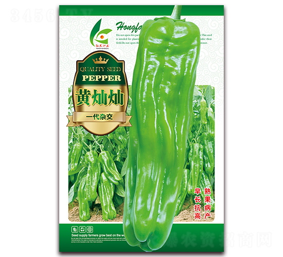 �S�N�N-��Ƥ�ݽ��N��-�t�l(f��)�N�I(y��)