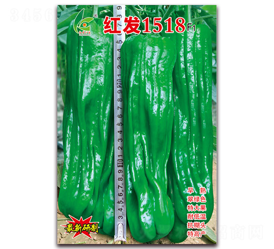 �t�l(f��)1518-��Ƥ�ݽ��N��-�t�l(f��)�N�I(y��)