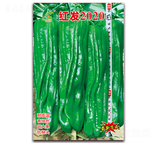 �t�l(f��)2020-��Ƥ�ݽ��N��-�t�l(f��)�N�I(y��)