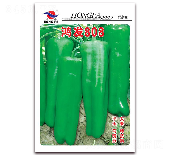 ���l(f��)808-��Ƥ�ݽ��N��-�t�l(f��)�N�I(y��)