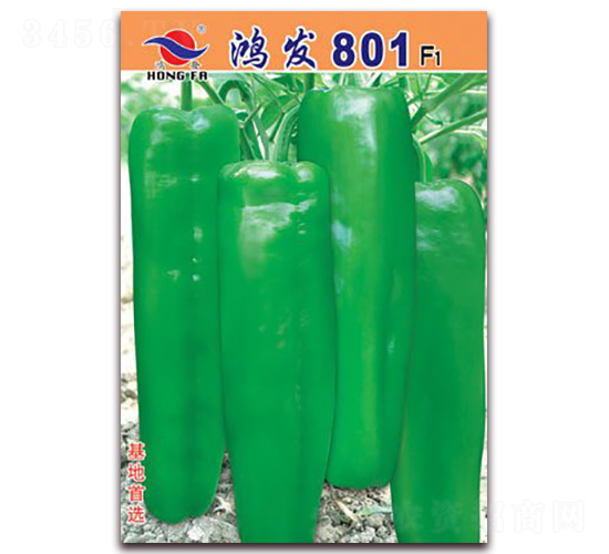 ���l(f��)801-��Ƥ�ݽ��N��-�t�l(f��)�N�I(y��)