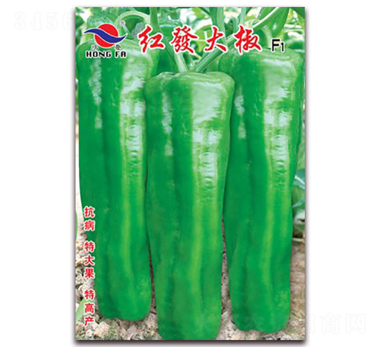 �t�l(f��)��-��Ƥ�ݽ��N��-�t�l(f��)�N�I(y��)