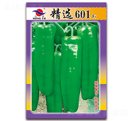 ���x601-��Ƥ�ݽ��N��-�t�l(f��)�N�I(y��)