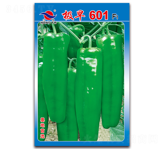 �O��601-��Ƥ�ݽ��N��-�t�l(f��)�N�I(y��)