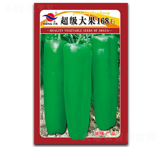 �������168-��Ƥ�ݽ��N��-�t�l(f��)�N�I(y��)