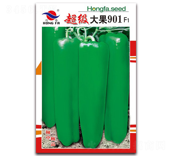 �������901-��Ƥ�ݽ��N��-�t�l(f��)�N�I(y��)