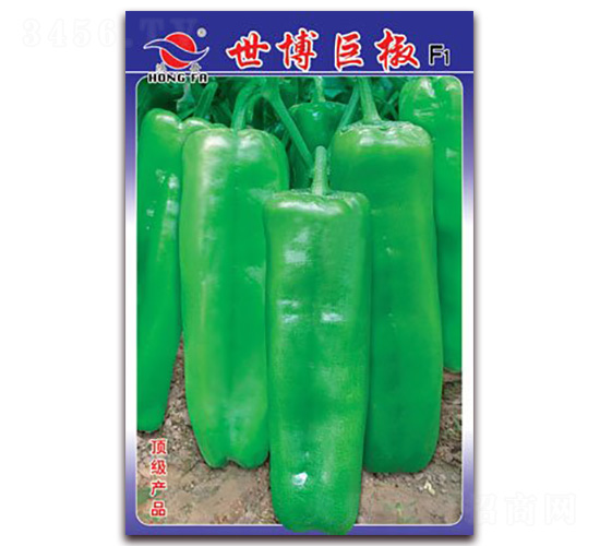 �����޽�-��Ƥ�ݽ��N��-�t�l(f��)�N�I(y��)