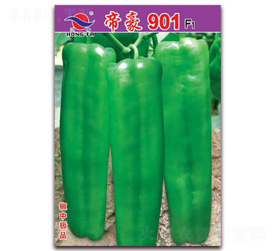 �ۺ�901-��Ƥ�ݽ��N��-�t�l(f��)�N�I(y��)