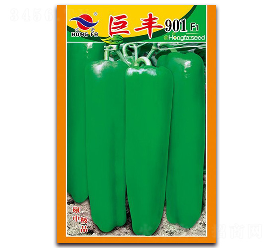 ���S901-��Ƥ�ݽ��N��-�t�l(f��)�N�I(y��)