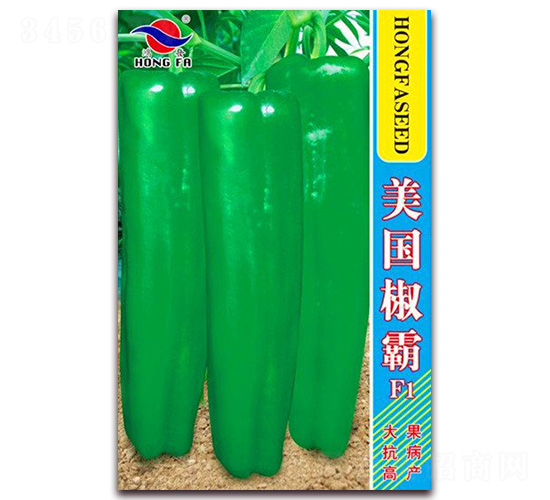 ��������-��Ƥ�ݽ��N��-�t�l(f��)�N�I(y��)