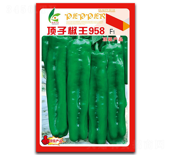 ��ӽ���958-��Ƥ�ݽ��N��-�t�l(f��)�N�I(y��)