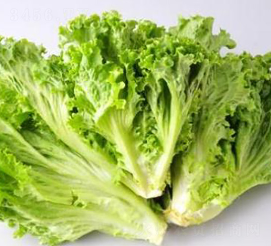 ���˷N��-��ϣ��