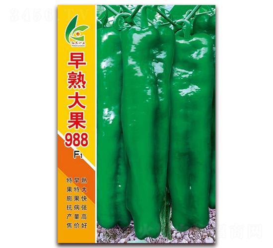 ������988-��Ƥ�ݽ��N��-�t�l(f��)�N�I(y��)