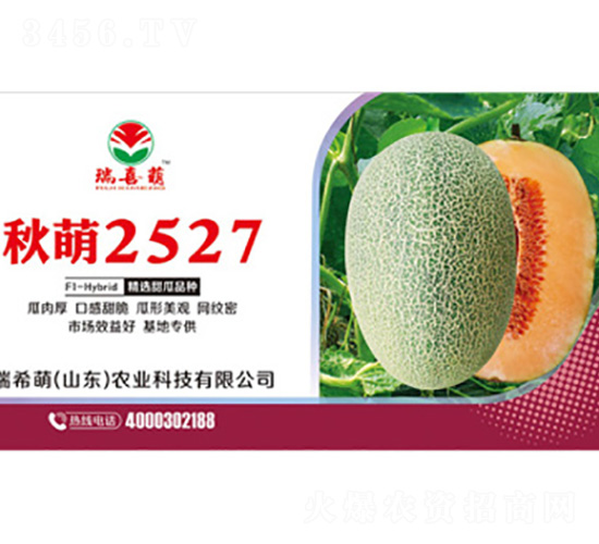 ����2527-��ϷN��-��ϣ��