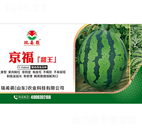 ��������-���ϷN��-��ϣ��