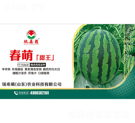 ��������-���ϷN��-��ϣ��