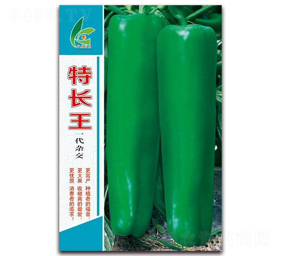 ���L(zh��ng)��-��Ƥ�ݽ��N��-�t�l(f��)�N�I(y��)