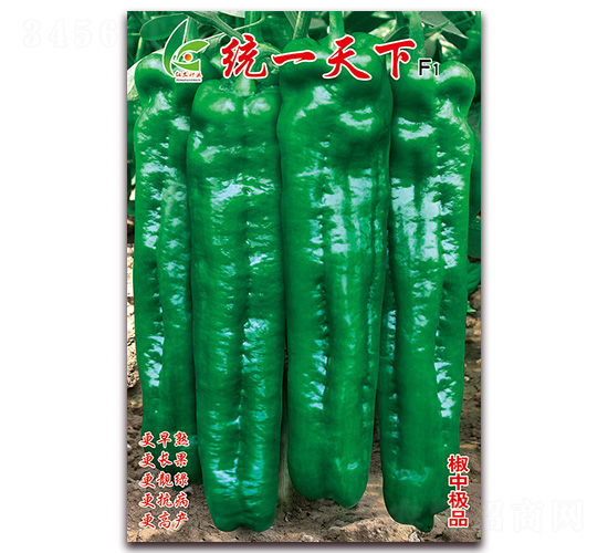 �y(t��ng)һ����-��Ƥ�ݽ��N��-�t�l(f��)�N�I(y��)