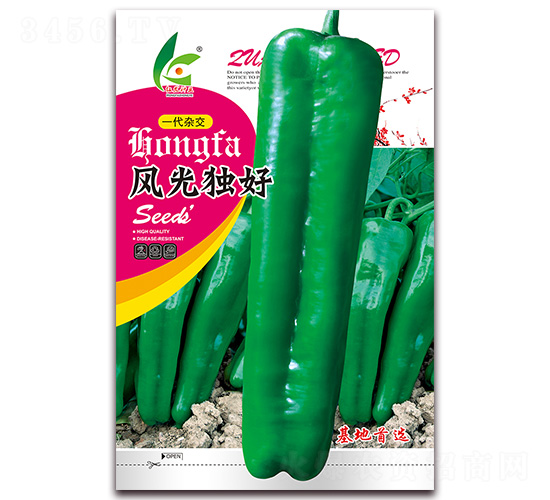 �L(f��ng)�⪚(d��)��-��Ƥ�ݽ��N��-�t�l(f��)�N�I(y��)