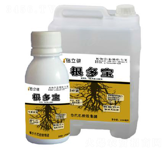 ������-������-�����r(n��ng)�I(y��)