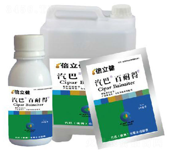 ���͵�-������-�����r(n��ng)�I(y��)