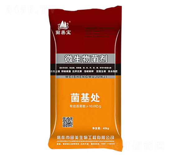 ΢�������-����̎-��������