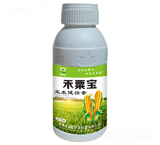 ���׽�����-���ڌ�-��M(m��n)ӯ