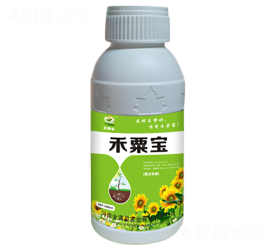 ����������-���ڌ�-��Mӯ