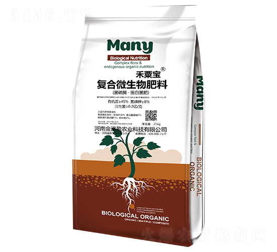 ��(f��)��΢�������-���ڌ�-��Mӯ