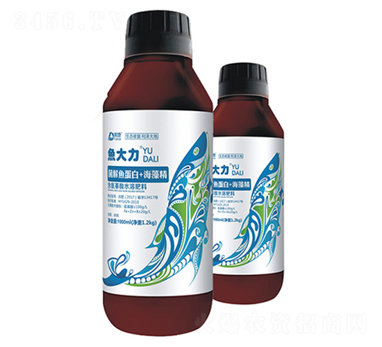 �����~����+���徫-�~����ƿ�b-��������