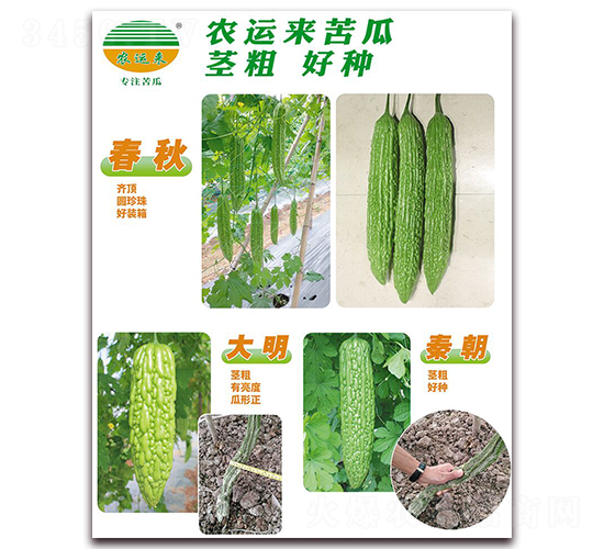 ����+����+�س�-��ϷN��-�r(n��ng)�\(y��n)��(l��i)