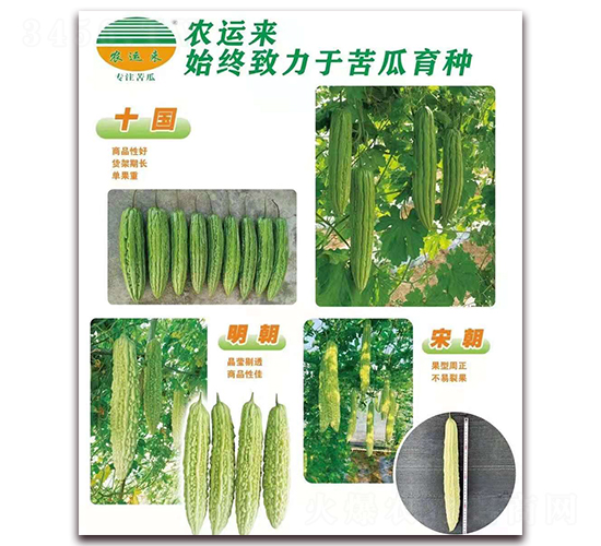 ʮ��+����+�γ�-��ϷN��-�r(n��ng)�\(y��n)��