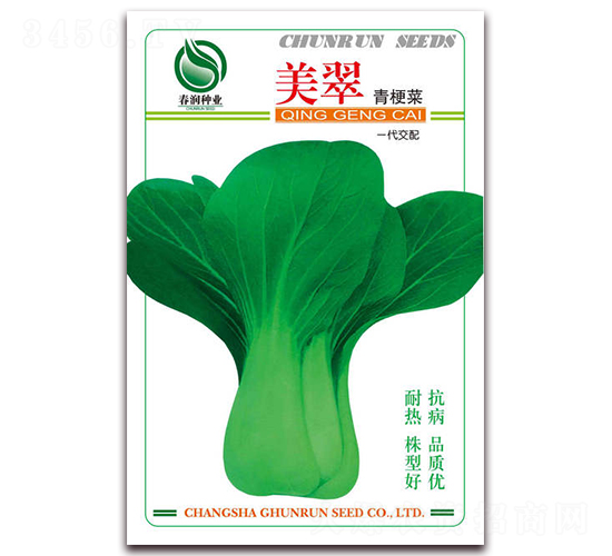 ����-�๣�˷N��-����(r��n)�N�I(y��)