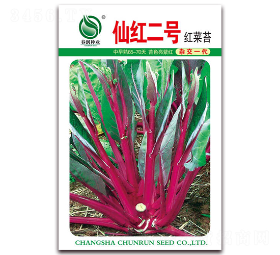 �ɼtһ̖-��޷�N��-�����N�I(y��)