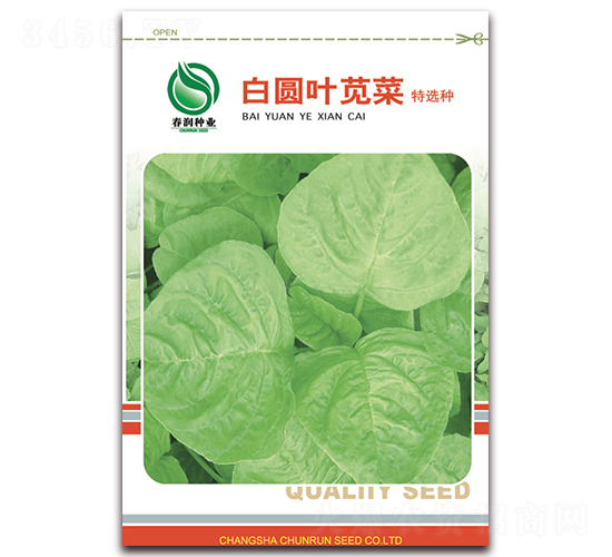 �׈A�~�{��-�{�˷N��-�����N�I(y��)