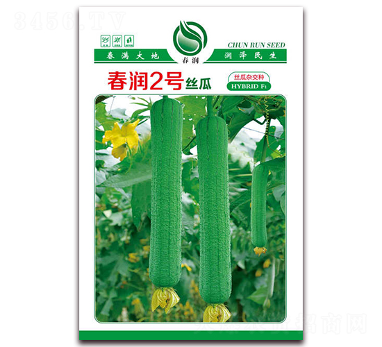 ����(r��n)��̖(h��o)-�z�ϷN��-����(r��n)�N�I(y��)