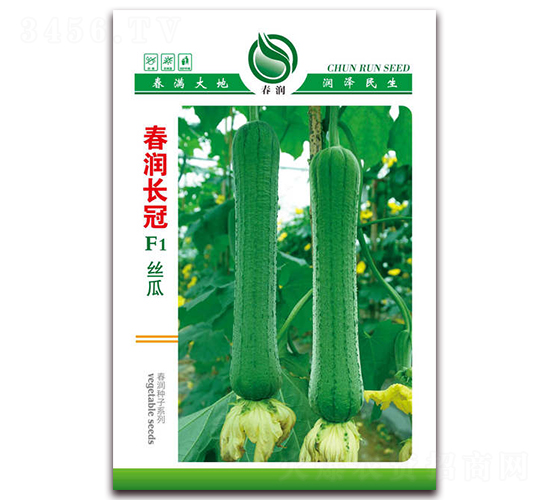 ����(r��n)�L(zh��ng)��-�z�ϷN��-����(r��n)�N�I(y��)