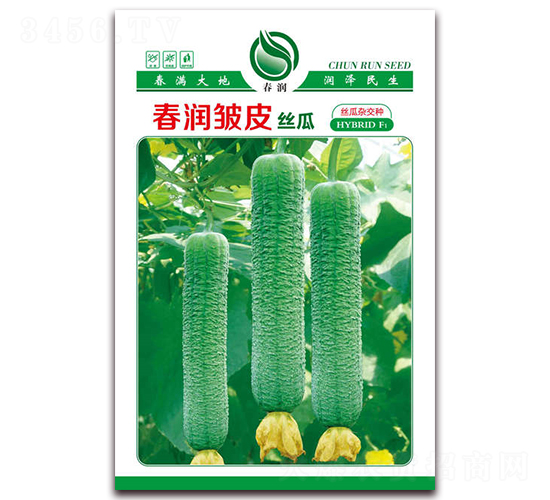 ����(r��n)��Ƥ-�z�ϷN��-����(r��n)�N�I(y��)