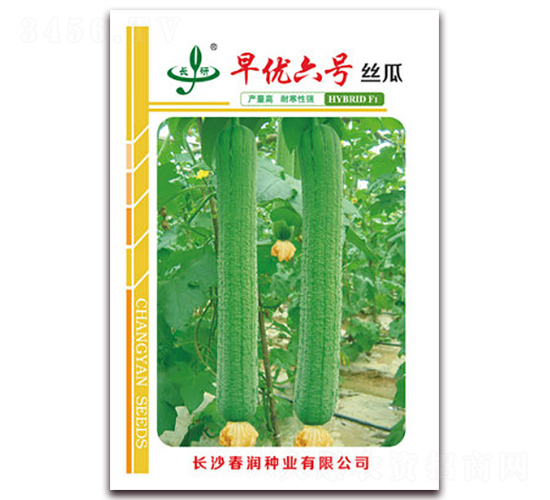 �烞(y��u)��̖(h��o)-�z�ϷN��-����(r��n)�N�I(y��)